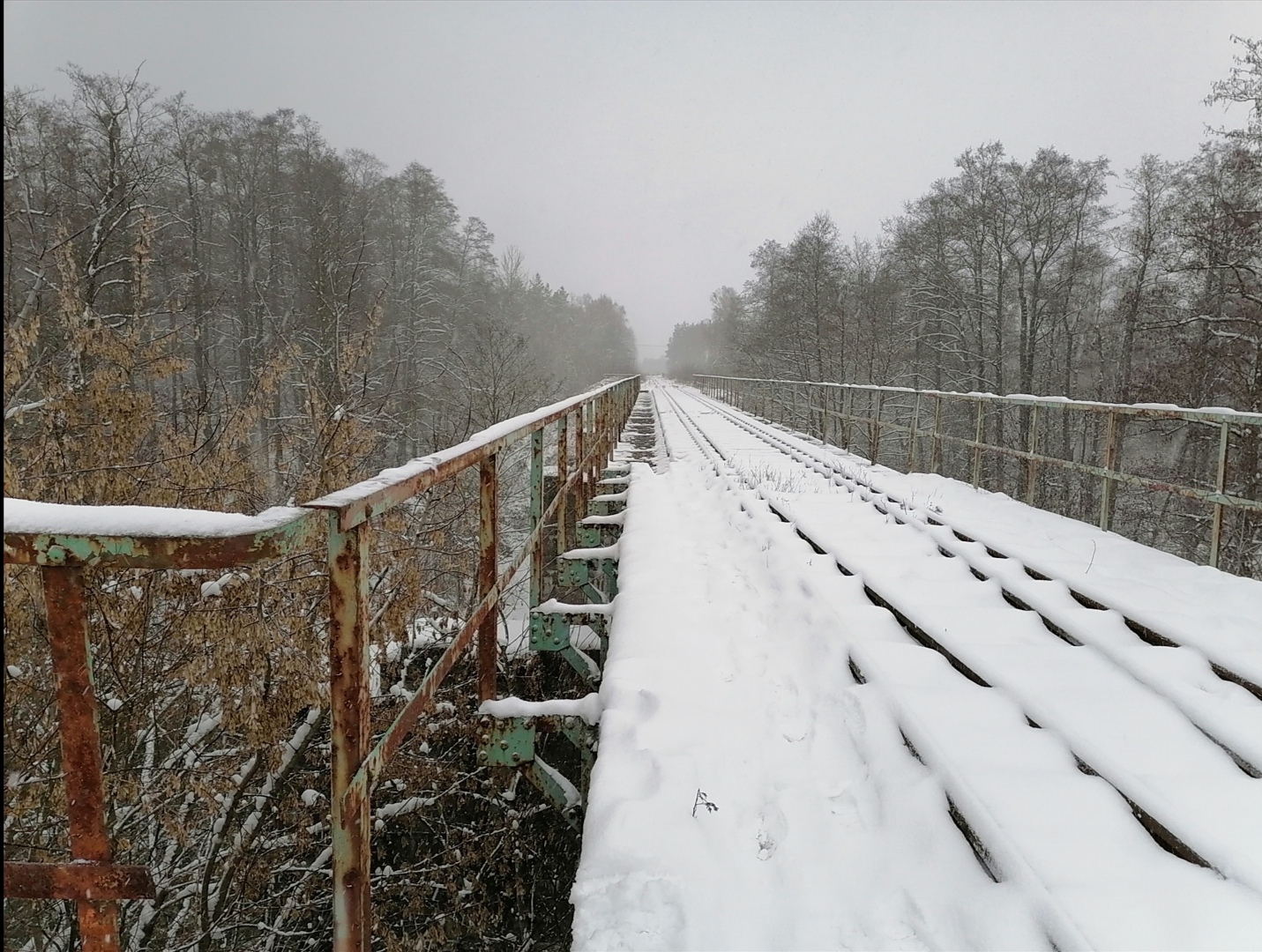 Most kolejowy na Skrwie w zimowej aurze, 16.01.2021 r.